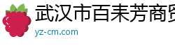 武汉市百耒芳商贸有限公司