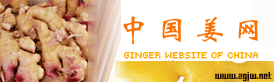 中国姜网――姜